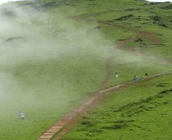 Coorg, Chikmagalur & Mysore Tour