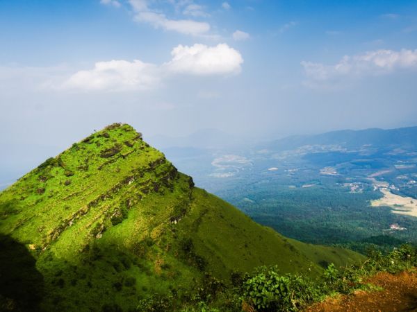 Nature Love Nature Love