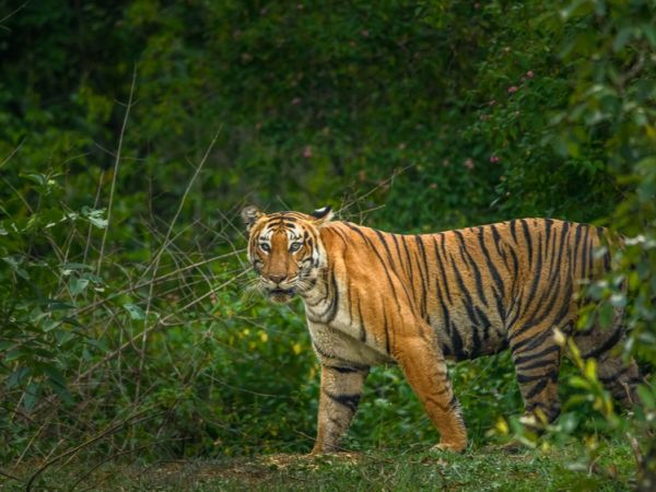 14 days of Karnataka Tour Package 14 days of Karnataka Tour Package